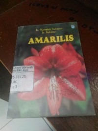 Image of Amarilis