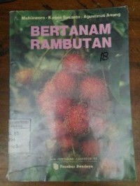 Image of Bertanam Rambutan