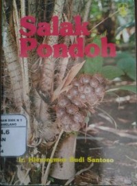 Image of Salak Pondoh