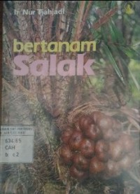 Image of Bertanam Salak