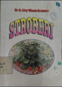 Image of Stroberi