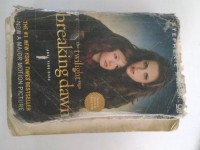 Image of Breaking Dawn