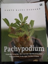 Image of Pachypodium