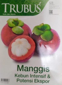 Image of TRUBUS : Manggis Kebun Intensif & Potensi Ekspor